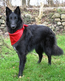 Cher de Geracao nova